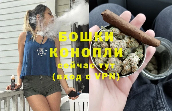 трава Новокубанск