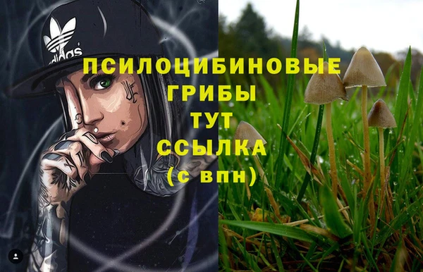 марки lsd Нефтегорск